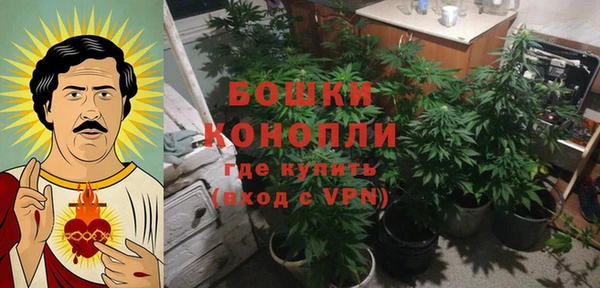 Альфа ПВП Алзамай